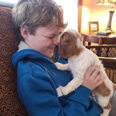 Puppy 33