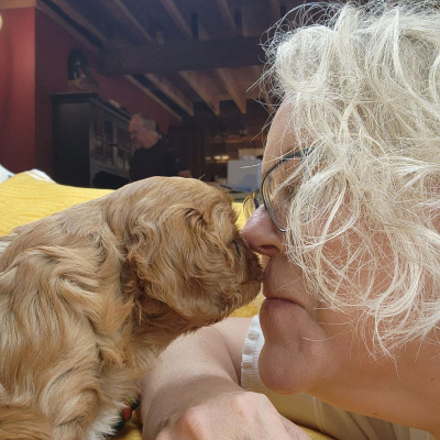 Puppy 5